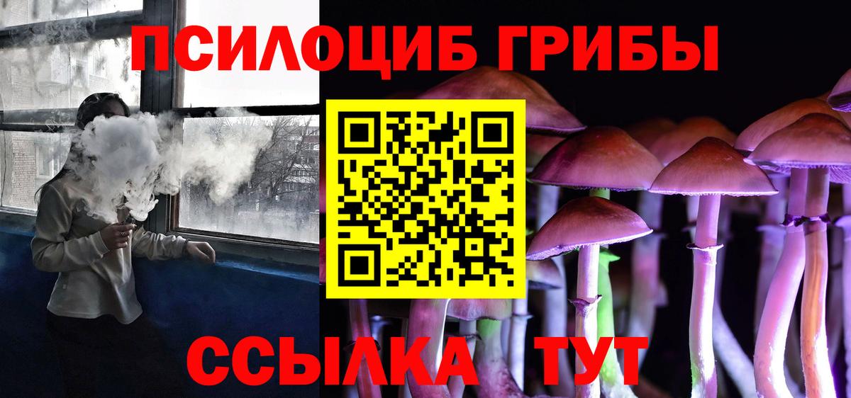 Псилоцибиновые грибы прущие грибы  Псилоцибиновые грибы прущие грибы  Балабаново  Вход с VPN 